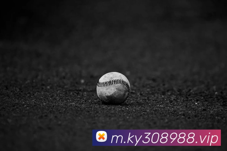 奖项证书